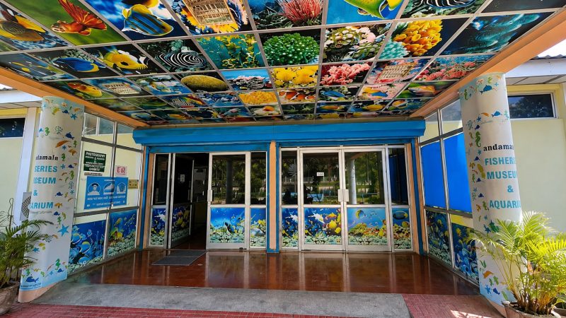 Aquarium (Fisheries Museum)
