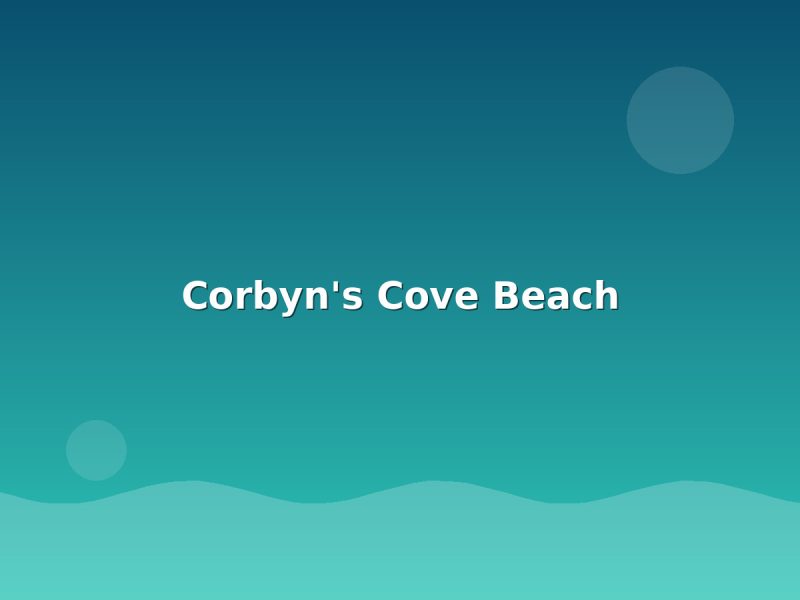 Corbyn's Cove Beach - Andaman sightseeing
