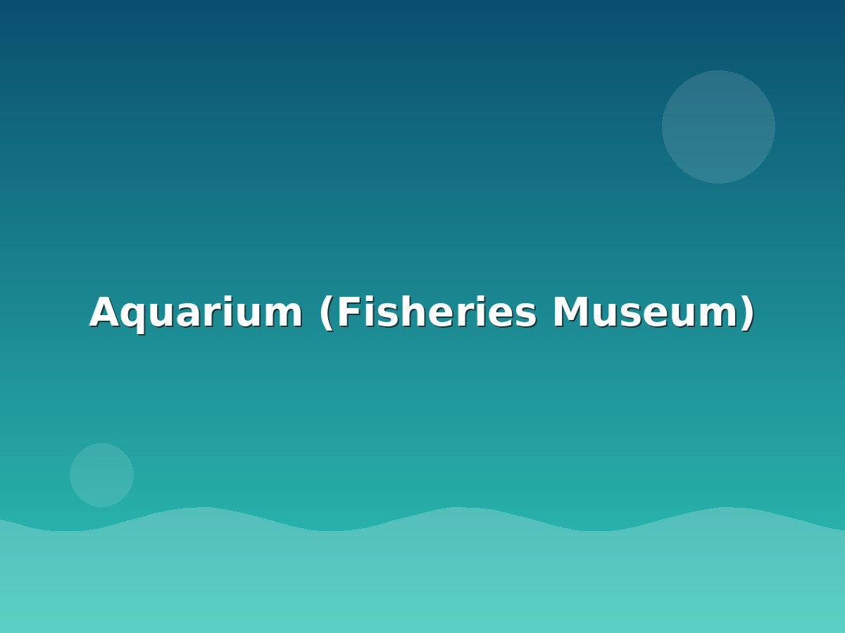 Aquarium (Fisheries Museum)
