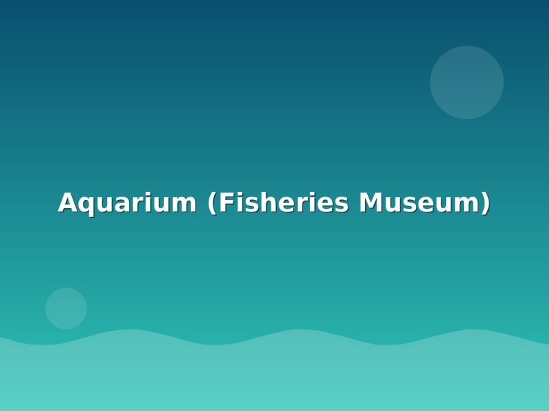 Aquarium (Fisheries Museum) - Andaman sightseeing
